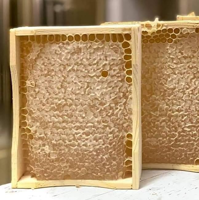 Foxhound Bee Co - Comb Honey Cassette for Making Pure Cut Comb Honey, Compatible with Medium Langstroth Frames - 40 Cassettes
