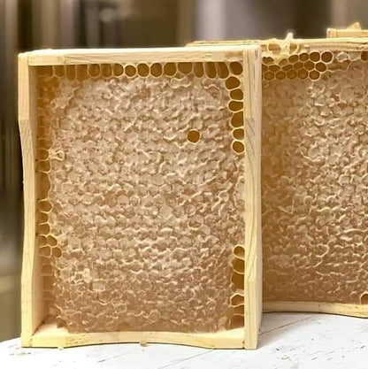 Foxhound Bee Co - Comb Honey Cassette for Making Pure Cut Comb Honey, Compatible with Medium Langstroth Frames - 40 Cassettes
