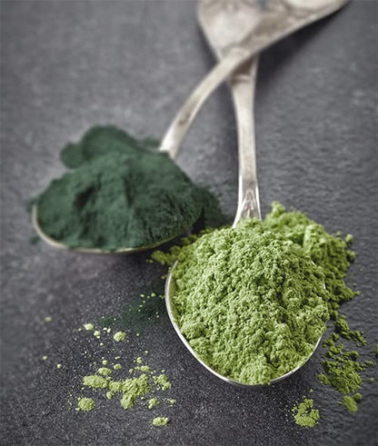 Jovvily Wheat Grass Powder - 8 oz - Superfood - No Fillers - Smoothies & Shakes - size: 8 Ounce