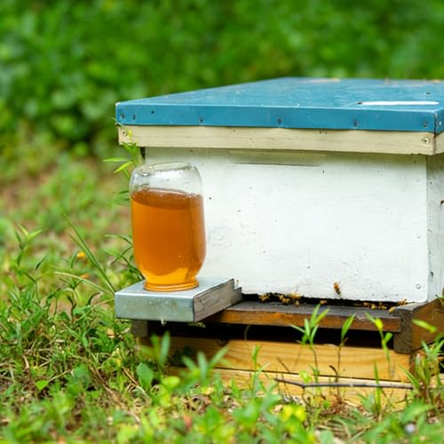 Sewroro Beehive Water Feeder Lid Replacement 8 Pack Bee Entrance Feeder Lids Perforated Water Dispenser Caps for Beekeeping Supplies Hive Hydration Accessory 2.87 X 2.87 X 0.59 in