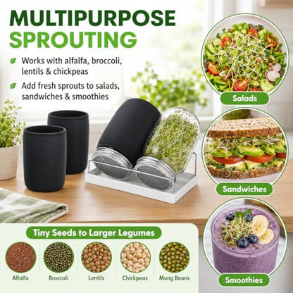 4 Pack Seed Jar Sprouter Kit - Wide Mouth 32oz Mason Jars with Stainless Steel Screen Lids - Blackout Sleeves for Mung Bean & Alfalfa - Complete Sprouting Jar Set with Stand & Drip Tray