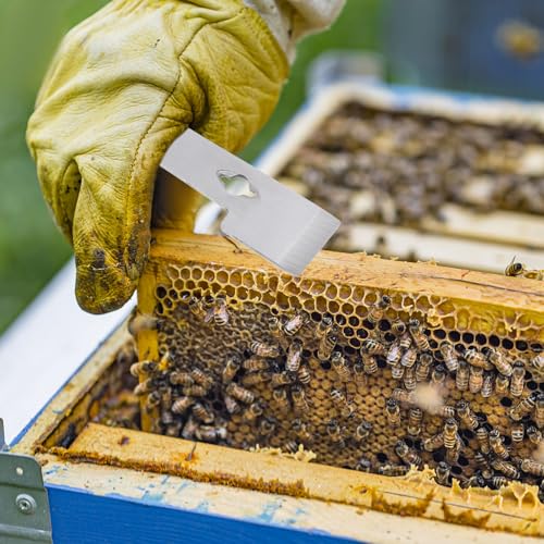 Kisangel Stainless Steel Hive Scraper and Beekeeper Tool for Beehive Cleaning with Curved Edge, Multifunctional Beekeeping Scraper and Frame Lifter for Apiary Maintenance