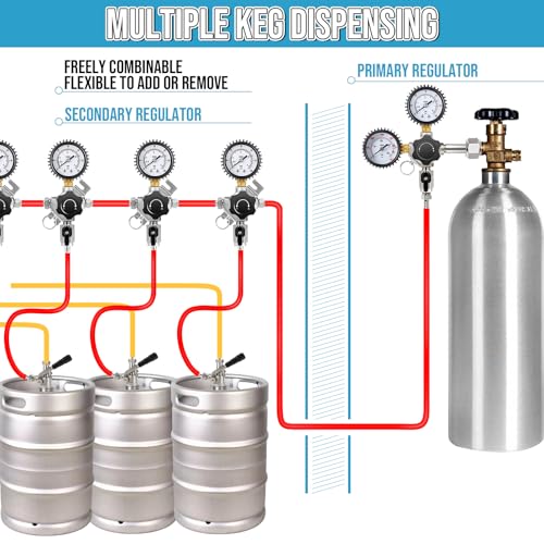 Professional Secondary CO2 Regulator, Pressure Beer Regulator Dual Gas Inlets & 0-60PSI Gauges for Independently Controlling Multiple Homebrew or Commercial Kegs, with Relief Valve & Barbed Outlets - size: 2 Input+ 1 Output