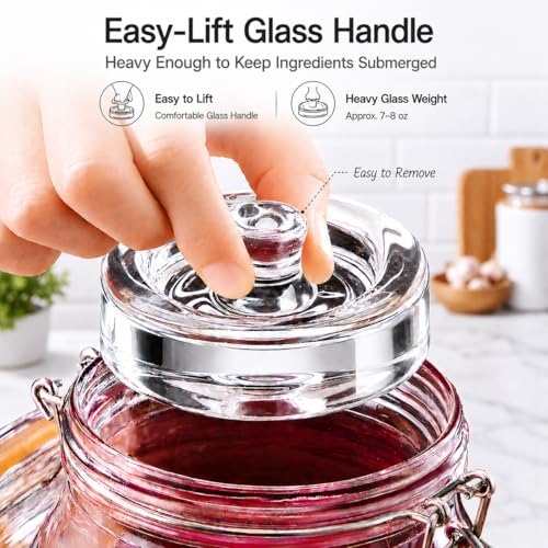 Fermenting Jars, 1.5L Fermentation Kit With Glass Weights, 2-Pack | Wide-Mouth 2L Glass Jar With Self-Venting Airlock, Ideal For Sauerkraut, Kimchi, Pickles And Other Homemade Ferments - size: 1.5 Liter