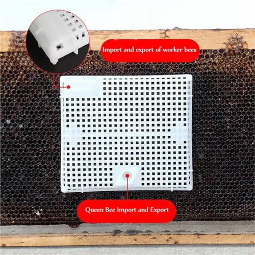 Queen Bee Cage 10Pcs Reusable Queen Bee Isolator Introduction Cage Portable Plastic Isolation and Introducing Beekeeping Tools for Beekeeping Supplies(Blue) - color: Blue