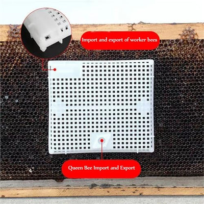 Queen Bee Cage 10Pcs Reusable Queen Bee Isolator Introduction Cage Portable Plastic Isolation and Introducing Beekeeping Tools for Beekeeping Supplies(Blue) - color: Blue