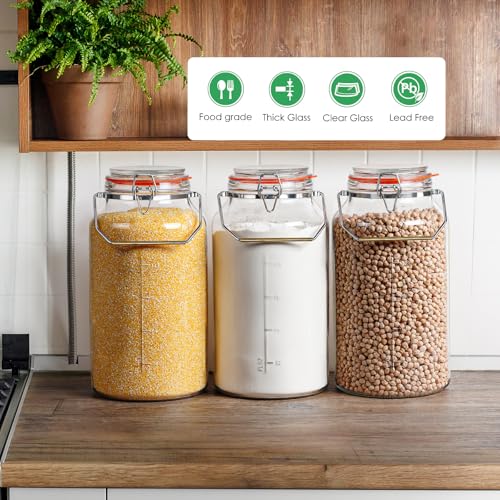 Qianfenie 1.5 Gallon Glass Jar with Airtight Lid Wide Mouth, Gallon Storage Jar with Stainless Steel Handle - Large Glass Food Storage Container with Lid for Flour, Sugar, and Dog Treats