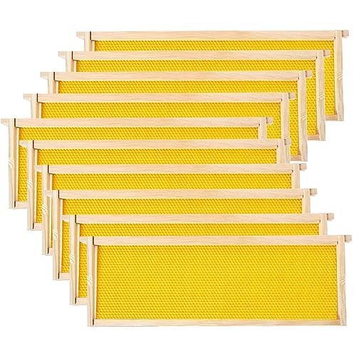 POLLIBEE Medium or Super Bee Hive Frames and Wax Foundations,10 Pack Honey Bee Frames with Beeswax Coated Food Grade Foundation Sheets, Beekeeping Supplies,6-1/4-Inch (Yellow) - size: Medium Yellow