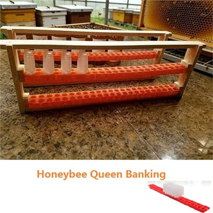 Queen Bee Cage 2pcs Queen Banking Cell Cage with Transport Box Kit Bee Moving Isolator Protection Case Shipping Bar Beekeeping Tools for Beekeeping Supplies(Bar with 50 Cages) - color: Bar with 50 Cages
