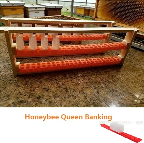 Queen Bee Cage 2pcs Queen Banking Cell Cage with Transport Box Kit Bee Moving Isolator Protection Case Shipping Bar Beekeeping Tools for Beekeeping Supplies(Bar) - color: Bar
