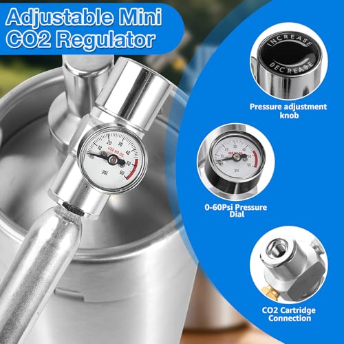 128oz Stainless Steel Mini Keg Growler Portable Kegerator, Adjustable Pressurized Mini Kegerator for Homebrew, Beer Growler Tap System for Craft Beer Cider and Kombucha