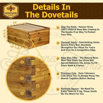 Hoover Hives 8 Frame Langstroth Beehive Dipped in 100% Beeswax Includes Wooden Frames & Waxed Foundations (1 Deep Box, 1 Medium Box)