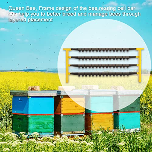 Beekeeping Queen Bee Rearing Frame 60 Cell, Apiculture Queen Cell Cups Holder, Beekeeper Hive Bee Rearing Cell Bar