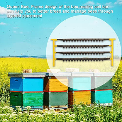 Beekeeping Queen Bee Rearing Frame 60 Cell, Apiculture Queen Cell Cups Holder, Beekeeper Hive Bee Rearing Cell Bar