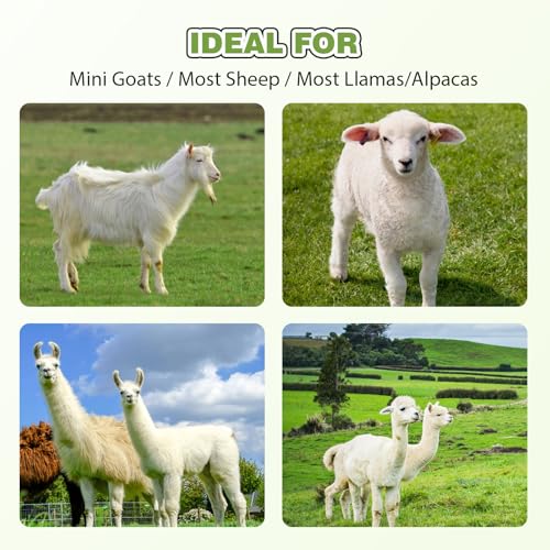 φ25mm Double Head Teat Cup for Goat, Milking Machine Accessory, with 5x8mm Hose - style: Cups for goat