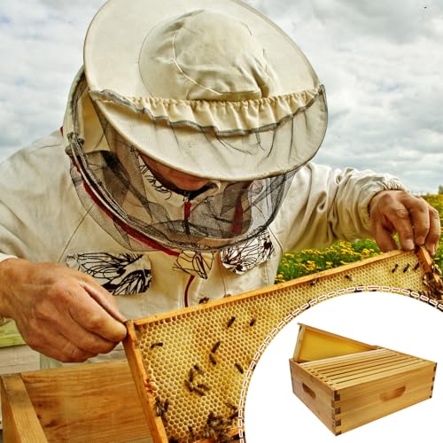 10-Frame Langstroth Medium Super Bee Hive Box, Dipped in Beeswax, Includes Wooden Frames & Waxed Foundations, Unassembled for Beginner Beekeepers - style: Medium Box