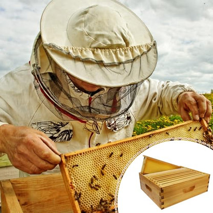 10-Frame Langstroth Medium Super Bee Hive Box, Dipped in Beeswax, Includes Wooden Frames & Waxed Foundations, Unassembled for Beginner Beekeepers - style: Medium Box