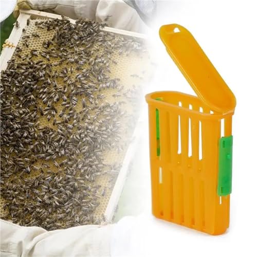 Queen Bee Cage 80Pcs Queen Bee Post Cage Beekeeping Queen Cages Move Transmit Grid Box Bee Marking Cage Beekeeping Tools Queens Shipping Box for Beekeepers