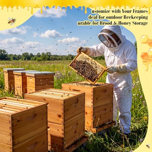 Marsui 6 Pcs Bee Hive 10 Frame Deep Bee Hive Box, Langstroth Beehive Boxes Natural Beeswax with Window, Beehive Frames and Beeswaxed Foundations