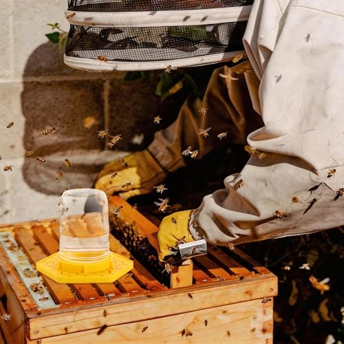 2 Pack Bee Watering Station for Garden, Orange Bee Feeder and Waterer Compatible with Regular & Wide Mouth Canning Jars(Jar Not Included), Small-Hole Honeycomb Tray Honey Bee Feeder for Outside