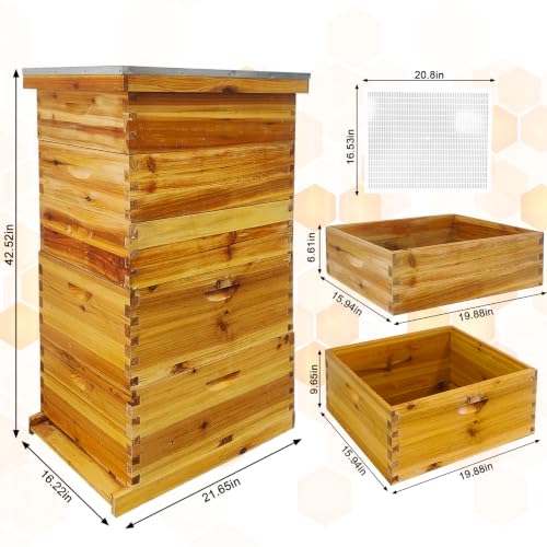 5-Layer Langstroth Beehive Kit, Beeswax Coated Wood Bee Hive with 2 Deep Breeding Boxes and 3 Medium Super Boxes, 10-Frame Standard Wooden Bee House with Waterproof Metal Top, No Frames