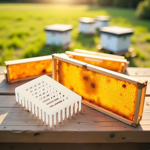 White Queen Marker Cage Clip Bee Plastic Catcher Beekeeper Beekeeping Tools Equipment Plastic Queen Marker Cage Clip Bee Catcher Beekeeper Beekeeping Tools Equipment Beekeeping Supplies