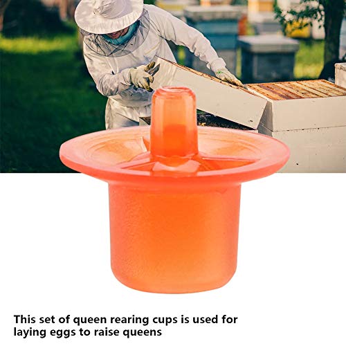 Fdit 50pcs Beekeeping Queen Rearing Cell Cups Beekeeper Equipment Tool Beekeeping Supply (Red)