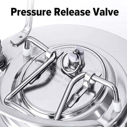 TMCRAFT 6.5 Gallon Ball Lock Keg, Stainless Steel Double Ball Lock Post Corny Keg with Quick Disconnect Set for Home-brewing(24.5L)