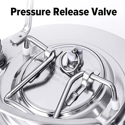 TMCRAFT 1.6 Gallon Mini Ball Lock Keg, Stainless Steel Double Ball Lock Post Corny Keg with Quick Disconnect Set for Home-brewing