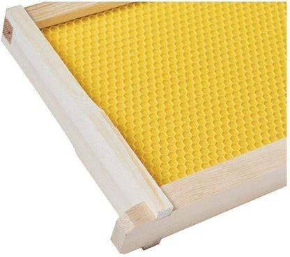BeeCastle 40-Pack Beehive Bee Frames Waxed Foundation with Complete Unassembled Commercial Frames, 6-1/4-Inch (Yellow) - size: 40-Pack