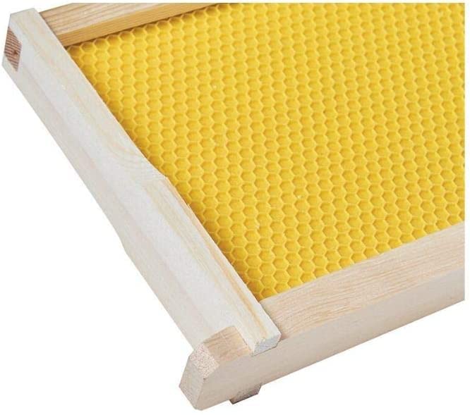 BeeCastle 40-Pack Beehive Bee Frames Waxed Foundation with Complete Unassembled Commercial Frames, 6-1/4-Inch (Yellow) - size: 40-Pack