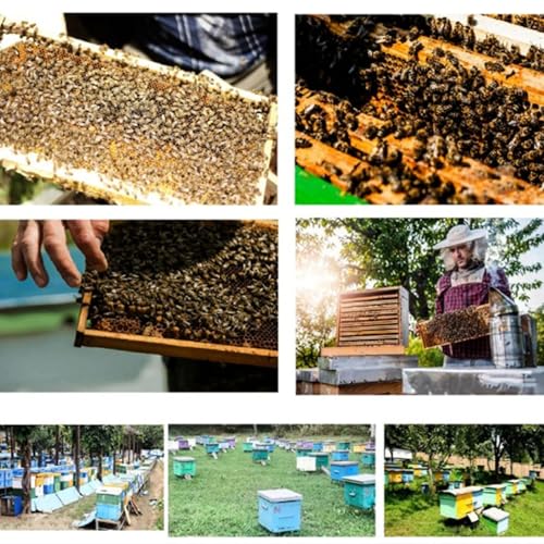 Zerodis Beehive Frame Strip, Stainless Steel Strips Bee Box Spacing Tool for Spacing Bee Frames Evenly in a 10 Frame Honey Super Box
