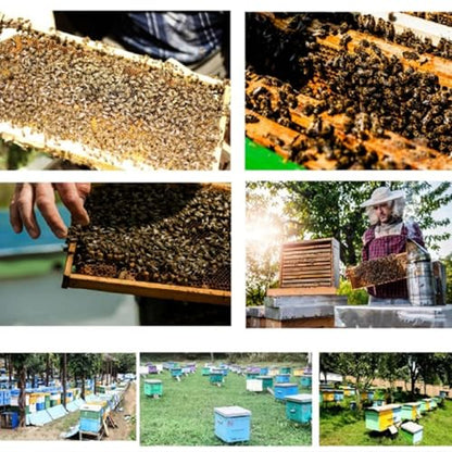 Zerodis Beehive Frame Strip, Stainless Steel Strips Bee Box Spacing Tool for Spacing Bee Frames Evenly in a 10 Frame Honey Super Box