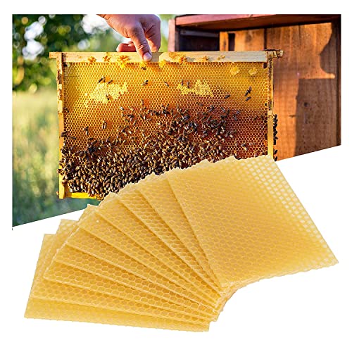 ZYAMY 10pcs Beeswax Sheets 5.1" x 3.5" Natural Beehive Wax Frame Beekeeping Equipment for Handicraft, Candle Making, Lubricating Oil and Furniture Polishing