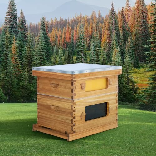10 Frame Bee Hive Starter Kit with Windows, Beeswax Coated Langstroth Bee Hives Boxes for Beekeepers with Beehive Frames and Waxed Foundations (1 Deep Brood Bee Box & 1 Medium Super Box) - size: 10 Frames 2 Layers