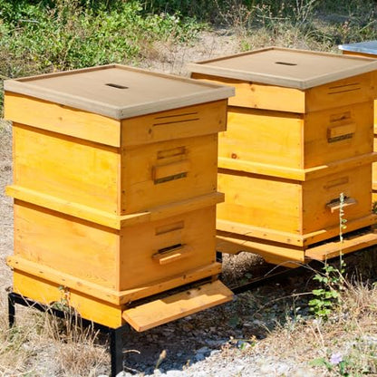 DoubleFill 2 Pcs Beehive Inner Cover for 10 Frame Hive Box Cover with Feeding Hole Beehive Insulation Ventilation Inner Cover for Beekeeping Tool