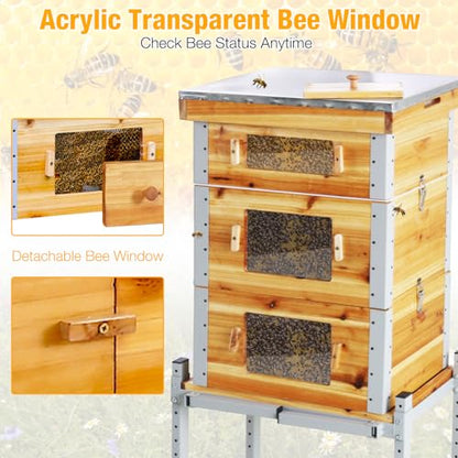 Bee Hive Boxes Starter Kit,3 Layer Metal Frame Bee House with 10 Medium and 20 Deep Frames & Foundations,Langstroth Honey Bee Hive with Metal Stand