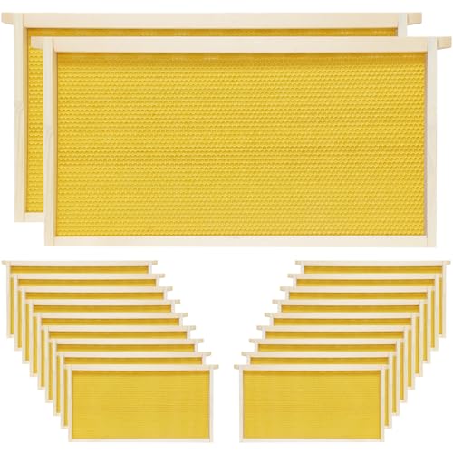 20 Pack Bee Frames Deep Unassembled, Wooden Beehive Frames with Plastic Beeswax Coated Foundations for Deep Brood Box (Yellow) - color: Yellow, size: 20 Pack