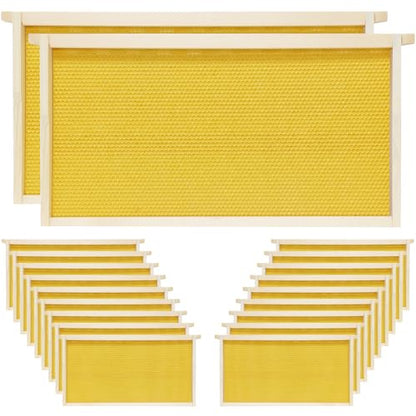 20 Pack Bee Frames Deep Unassembled, Wooden Beehive Frames with Plastic Beeswax Coated Foundations for Deep Brood Box (Yellow) - color: Yellow, size: 20 Pack