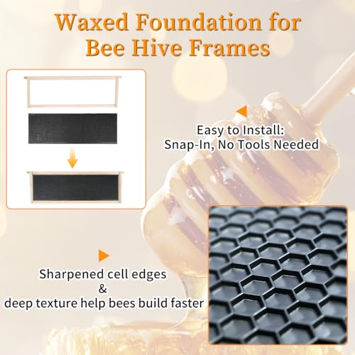 20 Pcs Bee Hive Foundation Beehive Waxed Coated Foundation Sheets Bee Foundation Sheets for Medium Super Bee Hive Waxed Foundation for Bee Frames 5-5/8-Inch Plastic Beehive Foundation Sheets - size: Medium