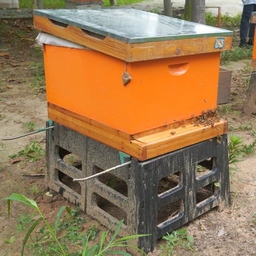 2Pcs Beehive Screened Bottom Board 10 Frame Langstroth Bee Hive Screened Bottom Board Dipped in 100% Beeswax with Entrance Reducer Screen Bottom Board with Solid Wood for Beehives Beekeeping Garden - size: 2 Pack 10 Frame
