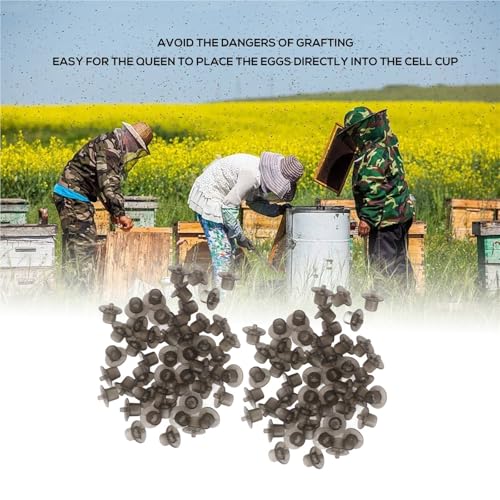 300PCS Queen Bee Rearing Cup Plastic Vivid Color Beekeeping Bee Cell Cup for Beekeeper Equipment Bees Tools(Gray) - color: Gray
