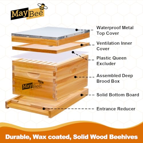 MayBee 8-Frame Beehive Starter Kit, Bee Hive Kit Dipped in 100% Beeswax, Bee Hives Boxes Starter Kit Includes Beekeeping Supplies Tool Kit and Bee Suit
