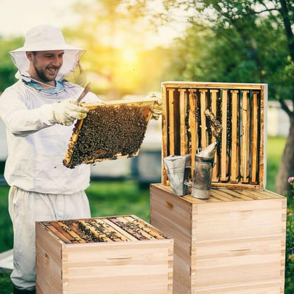 Bee Hive Boxes 10 Frame Langstroth Beehive,Complete Beehive Kit Includes 2 Deep Brood Bee Hives Box, 2 Medium Super Bee Box with Beehive Frames and Foundation - size: 4-Layre