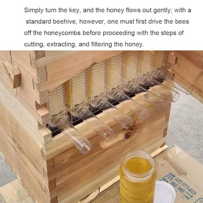 Self-Flow Honey Beehive Box, Natural Pine Wooden Beekeeping Hive Kit with Sloped Rainproof Roof, Reusable Honey Comb Frames for Backyard Beekeeping Supplies
