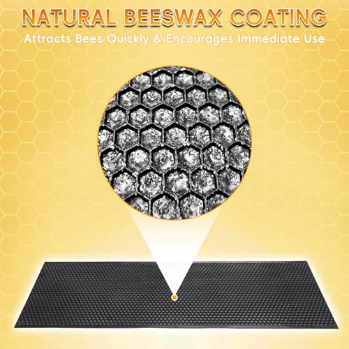 10PCS Black Food-Grade Plastic Bee Frame Medium Foundation Sheets, Natural Beeswax Coated Bee Hive Foundation for Medium Super Frames - color: Black, size: 10PCS