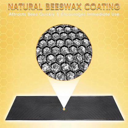 10PCS Black Food-Grade Plastic Bee Frame Medium Foundation Sheets, Natural Beeswax Coated Bee Hive Foundation for Medium Super Frames - color: Black, size: 10PCS