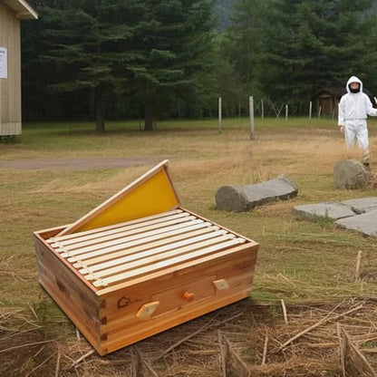 10 Frame Langstoth Medium Super Beehive Box, Honey Super Bee Box with Acrylic Window Dipped in 100% Beeswax, Wax Coated Bee Hive with Frames and Foundations Sheets for Beekeeping Supplement - style: with Window