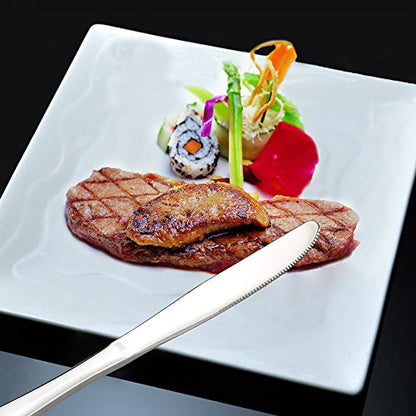 16-Piece Stainless Steel Dinner Knives Set