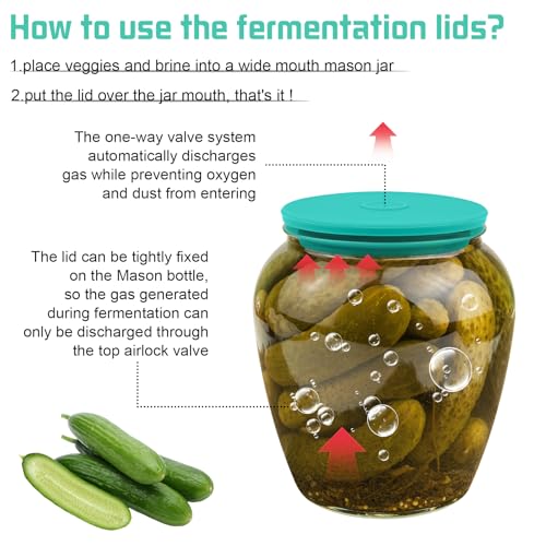 Wide Mouth Mason Jar Fermentation Lids – Silicone Fermenting Caps with Waterless Airlock, Self-Burping Fermenter Tops for Pickles, Kimchi, and Probiotic Foods, 3 Pack Mint (Jars Not Included) - color: Mint